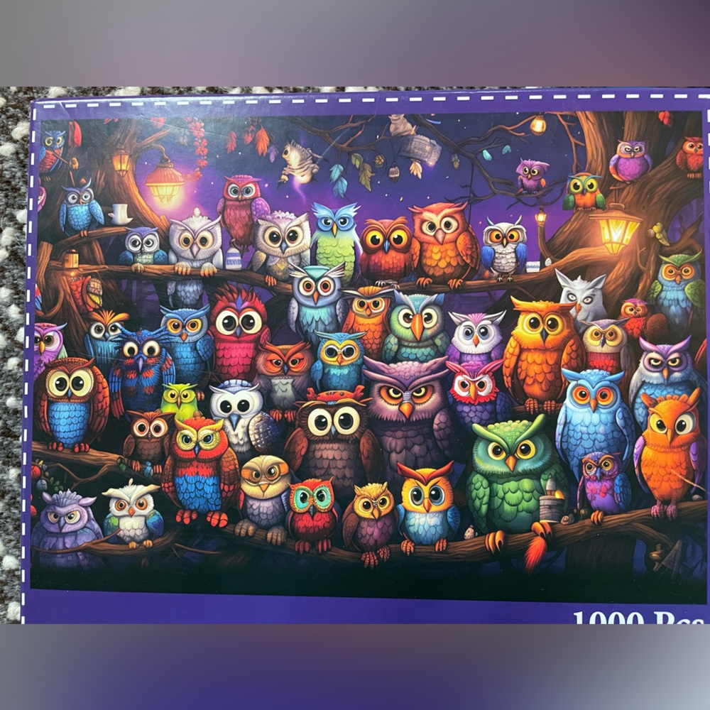 1000 pc Hudada Colorful Owl Puzzle!